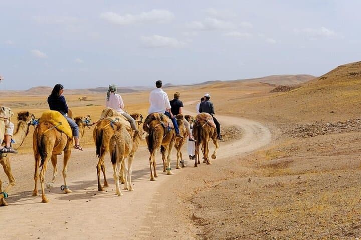 Agafay Desert Day Trip & Atlas Mountains with Camel Ride