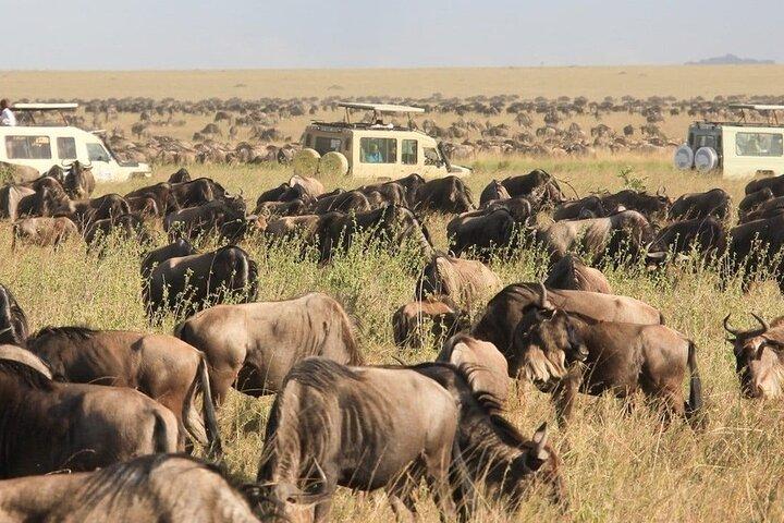 2-Day Safari toTarangire & Ngorongoro Crater