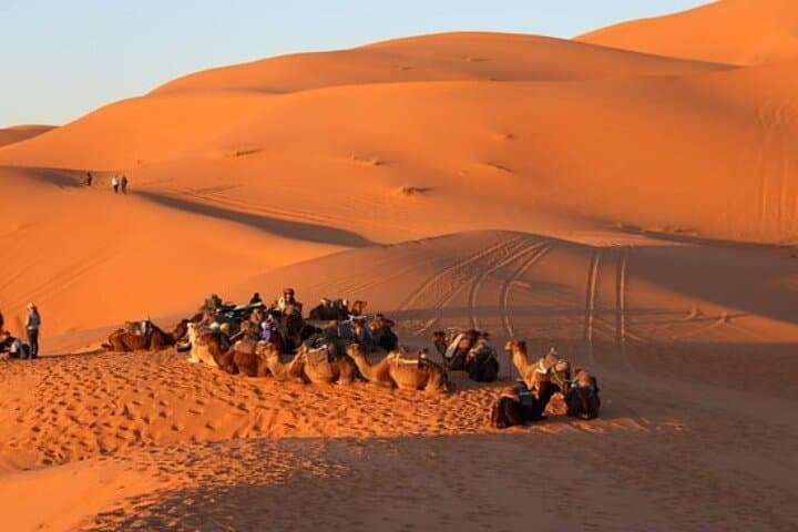 Explore Tangier: Cape Espartel, caves and camel ride.