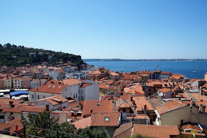 Piran & Panoramic Slovenian Coast - Small Group Tour from Koper