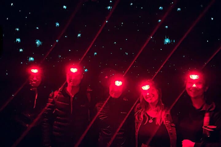 Blue Mountains Hiking Glow worms Cave Wildlife Spotlighting Night Adventure