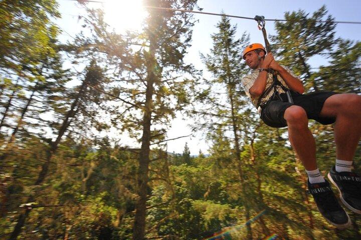 Victoria Zipline Adventure Tour