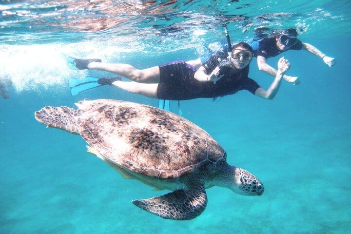 Abu Dabbab Beach Full Day Trip with Turtles