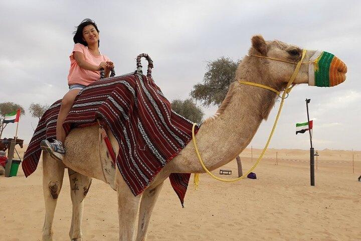 Morning Dubai desert safari - camel rides, quad bikes, dune buggies,dune bashing