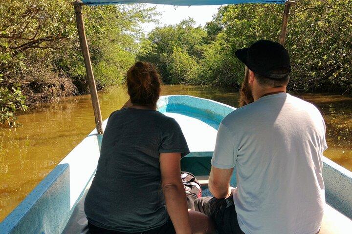 Lagoon Adventure: Jungle, Turtle Release & Cliff Diving Spectacle