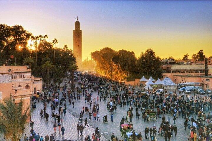 Marrakech: Guided City & Gardens Highlights Tour