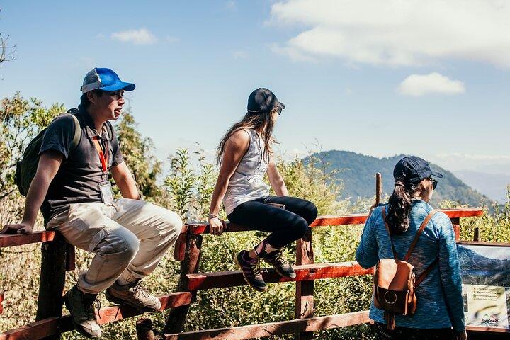 Hike Active Pacaya Volcano - Private Tour