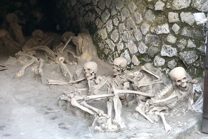 Private Pompeii and Herculaneum with Wine Tasting - Full Tickets
