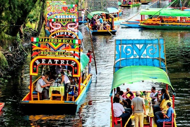 Visit to Xochimilco, Coyoacán and Ciudad Universitaria