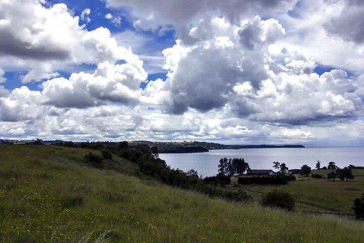 Excursion to Frutillar from Puerto Varas