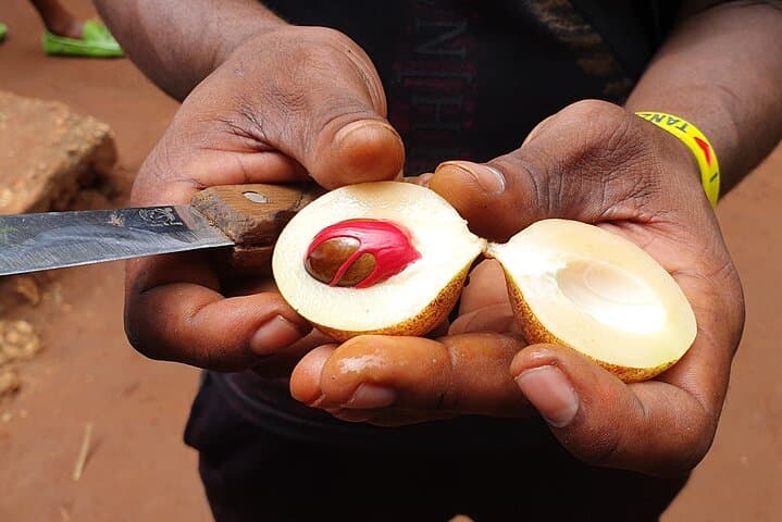 Private Spice Tour in Zanzibar with Pick Up