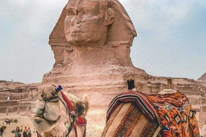 Cairo Layover Tour to Pyramids & Museum
