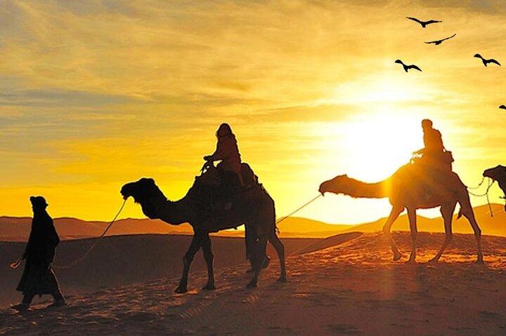 Sunrise View Desert Safari with Dune Bashing and Sand Boarding