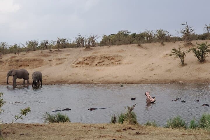 Full Day Kruger National Park Game Drive