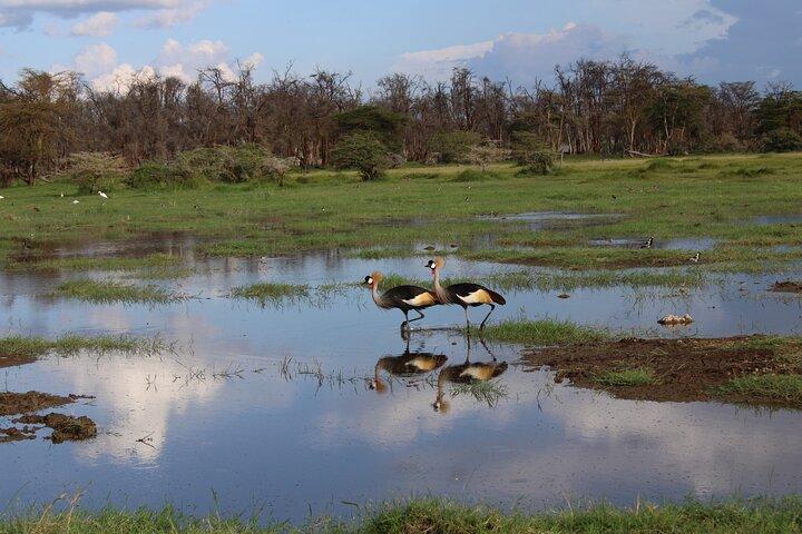 7 Days, 6 Nights Wildlife Photography and Birding Safari