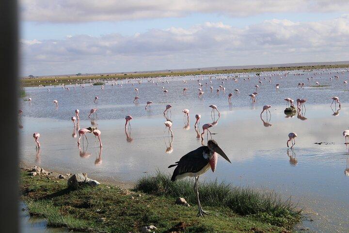 7 Days, 6 Nights Wildlife Photography and Birding Safari