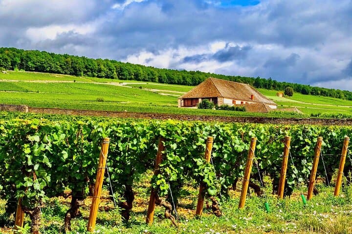 Private Burgundy 3 Domaines Chateau Pommard Chablis 15 Wines Trip