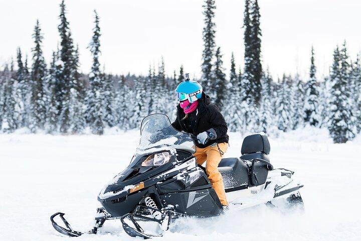 2-Hour Guided Snowmobile Tour in Fairbanks