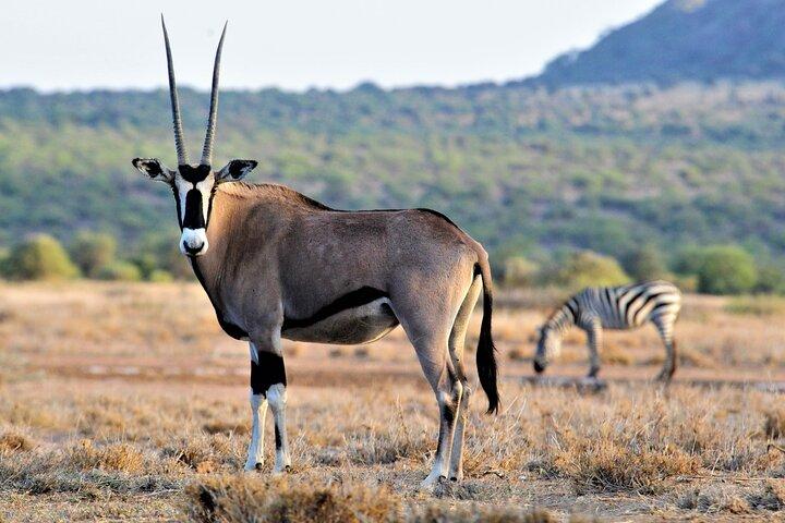 8-Day Cultural Tour and Wildlife Holiday n Kenya