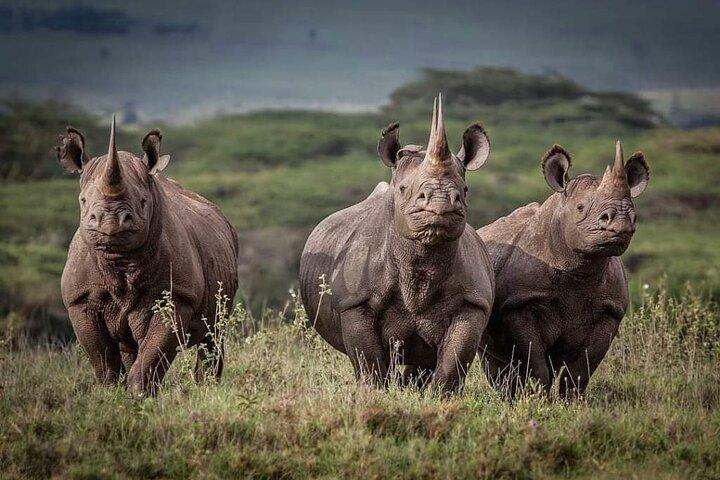 6 Days Wildebeest Migration Safari in Tanzania