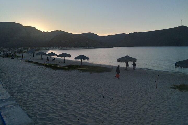 A complete day in a Private Tour to Balandra Beach.