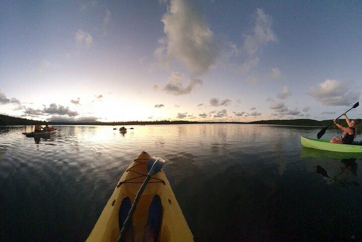 Fajardo Bioluminescent Bay Night Kayak Adventure from San Juan