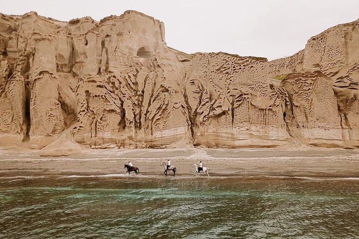 Beach Gallop - Horse Riding Safari for Experienced Riders