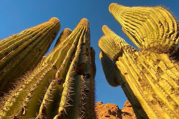 Epic Camelback Mountain Guided Hiking Adventure in Phoenix, Arizona