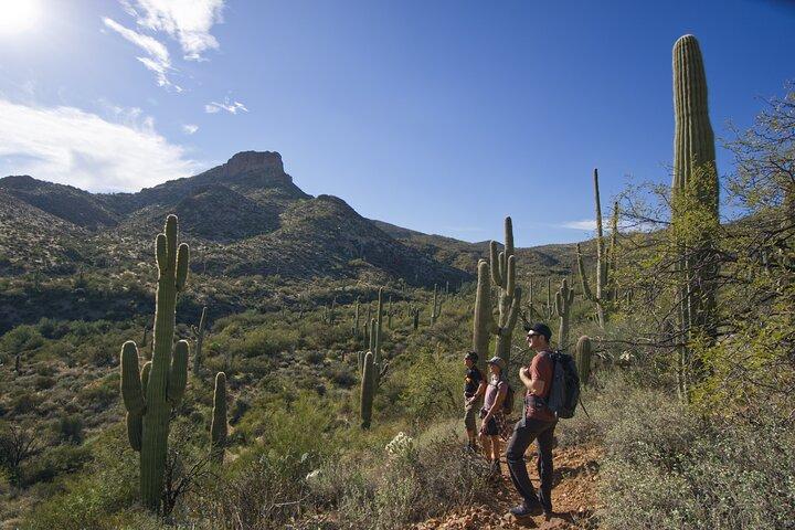 Incredible Hidden Valley Guided Hike in Phoenix, Arizona