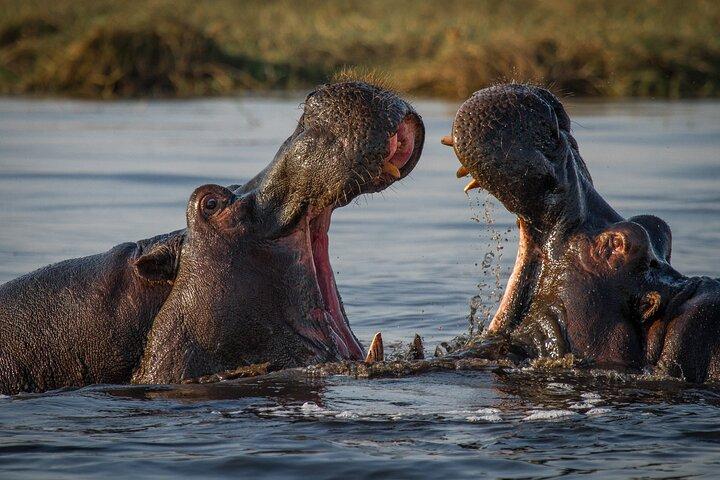5 Days Safari Tour in Arusha