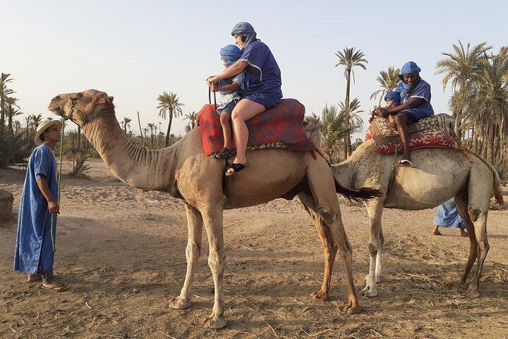 Sunset Camel Ride Marrakech with Transfers