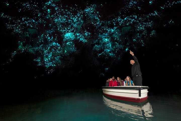 Rotorua and Waitomo Caves Day Trip from Auckland -Smaller Groups