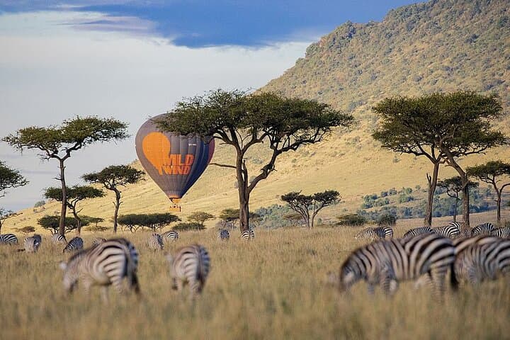 4-Day Masai Mara and Lake Nakuru Safari Tour from Nairobi