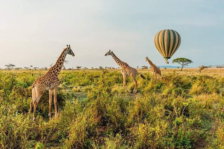 3-Day Masai Mara Budget Camping Safari from Nairobi