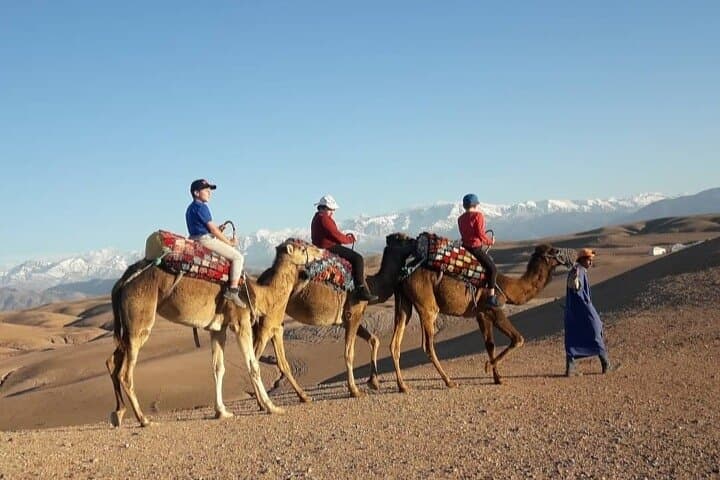 Agafay camel ride