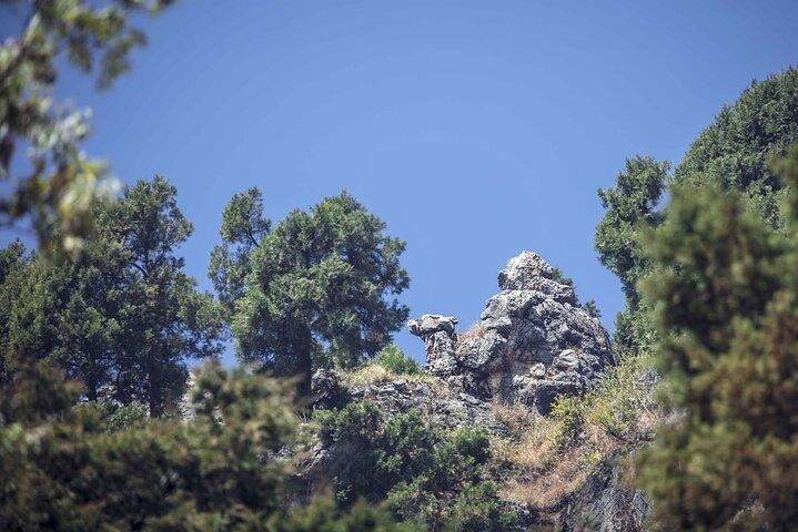 Nature's Trail: Dehradun to Mussoorie Private Day Trip