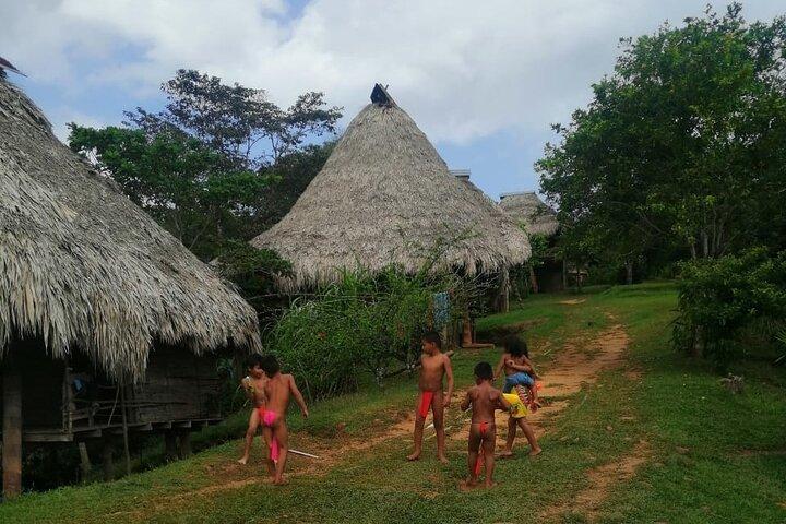 Private Embera village Eco-Cultural Tour, jungle waterfall, and nature hiking