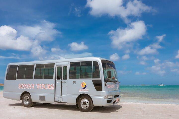 Baby Beach Day Roundtrip