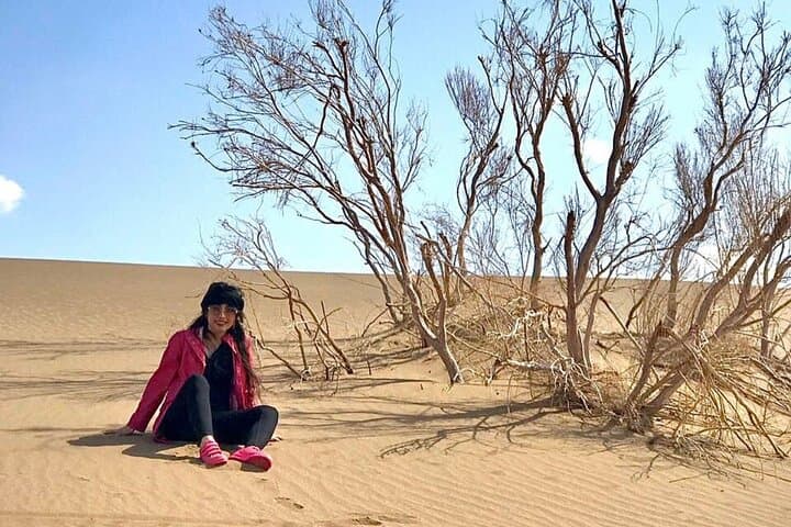 Sundowner Dune Safari With Dinner
