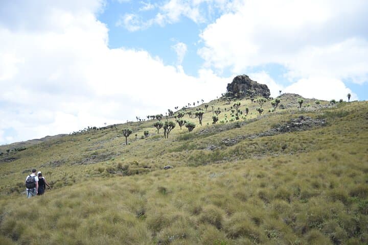 Family Fun Vacation Safari-Hiking and Walking Budget Tour 5 days