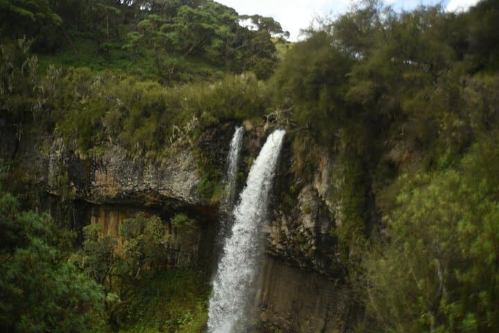 Family Fun Vacation Safari-Hiking and Walking Budget Tour 5 days