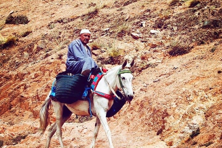 Imlil Village and Mount Toubkal Tour from Marrakech