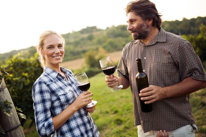 Private Wine Tour in Niagara-on-the-Lake w/ cheese & charcuterie