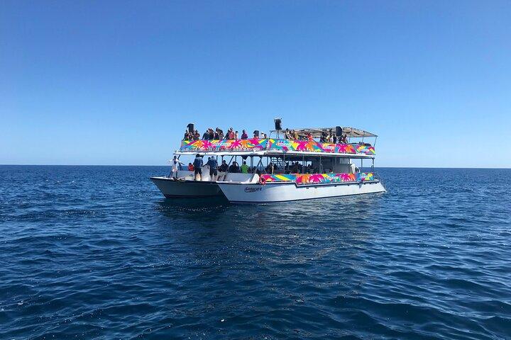 Los Cabos Whale Watching Cruise Including Breakfast