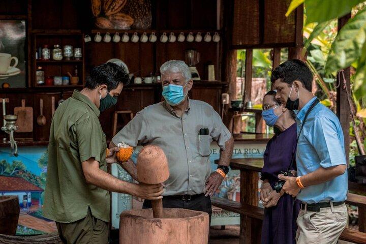 Sloth Observation, Coffee, Chocolate & Sugar Cane Experience
