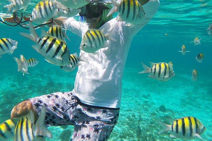 Isla Mujeres Snorkeling Adventure at the Underwater Museum