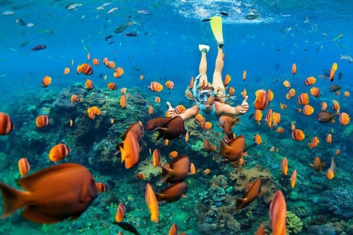 Snorkeling and Watersport Activities at Fujairah Snoopy Island