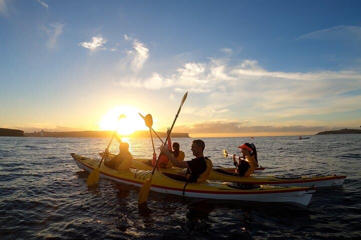 Sydney: Sunrise Escape – Middle Harbour Kayaking Experience