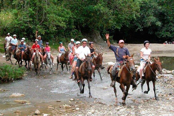 Amazing 3-Hour Horseback Riding at Puerto Plata with Pickup