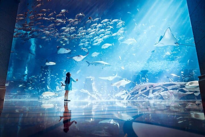 Skip the Line: Lost World Aquarium at Atlantis The Palm Ticket